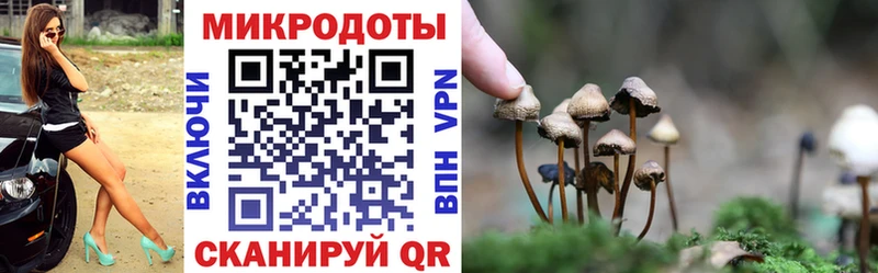 Псилоцибиновые грибы Magic Shrooms Саяногорск