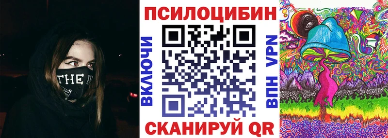 Псилоцибиновые грибы Psilocybe  Купить где  Саяногорск 